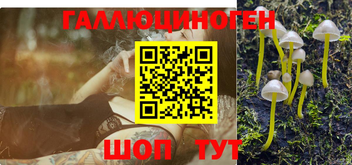 Минусинск  Галлюциногенные грибы Psilocybe  Вход с VPN 
